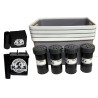 PACK KAS BOX SMALL  Automatic FOOD Reward