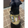 Pet ID Tag Velcro